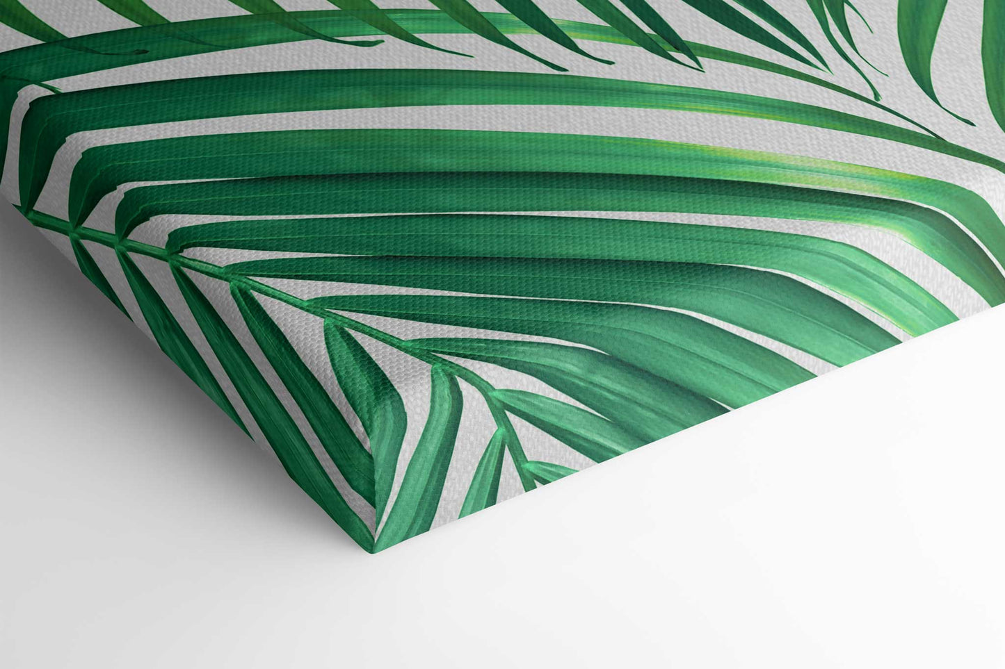 Palm Leaves