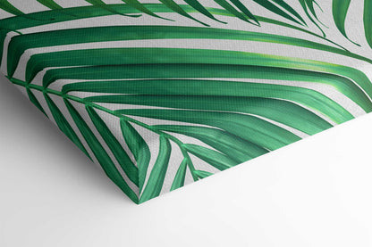 Palm Leaves