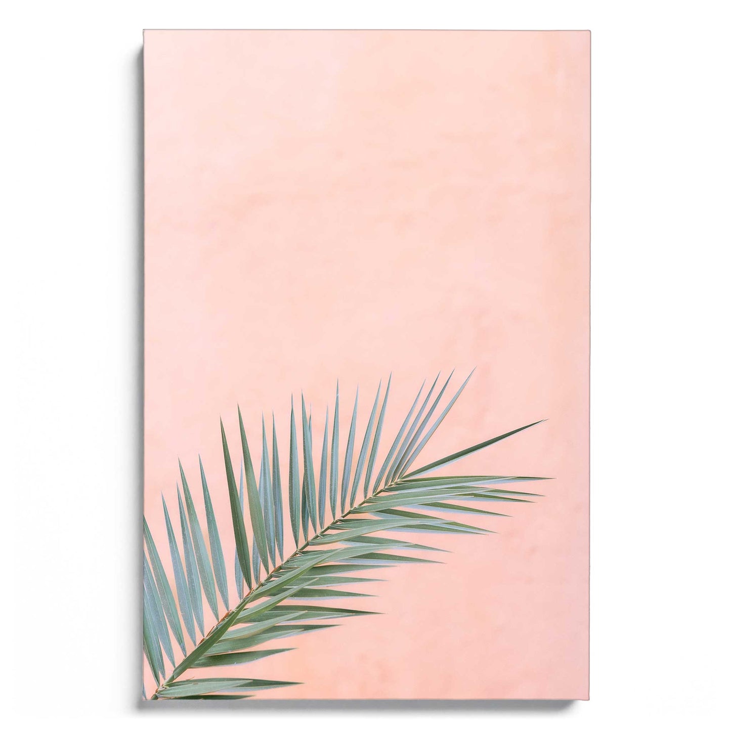 Palm Poetry
