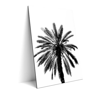 Palm Tree in Italy
