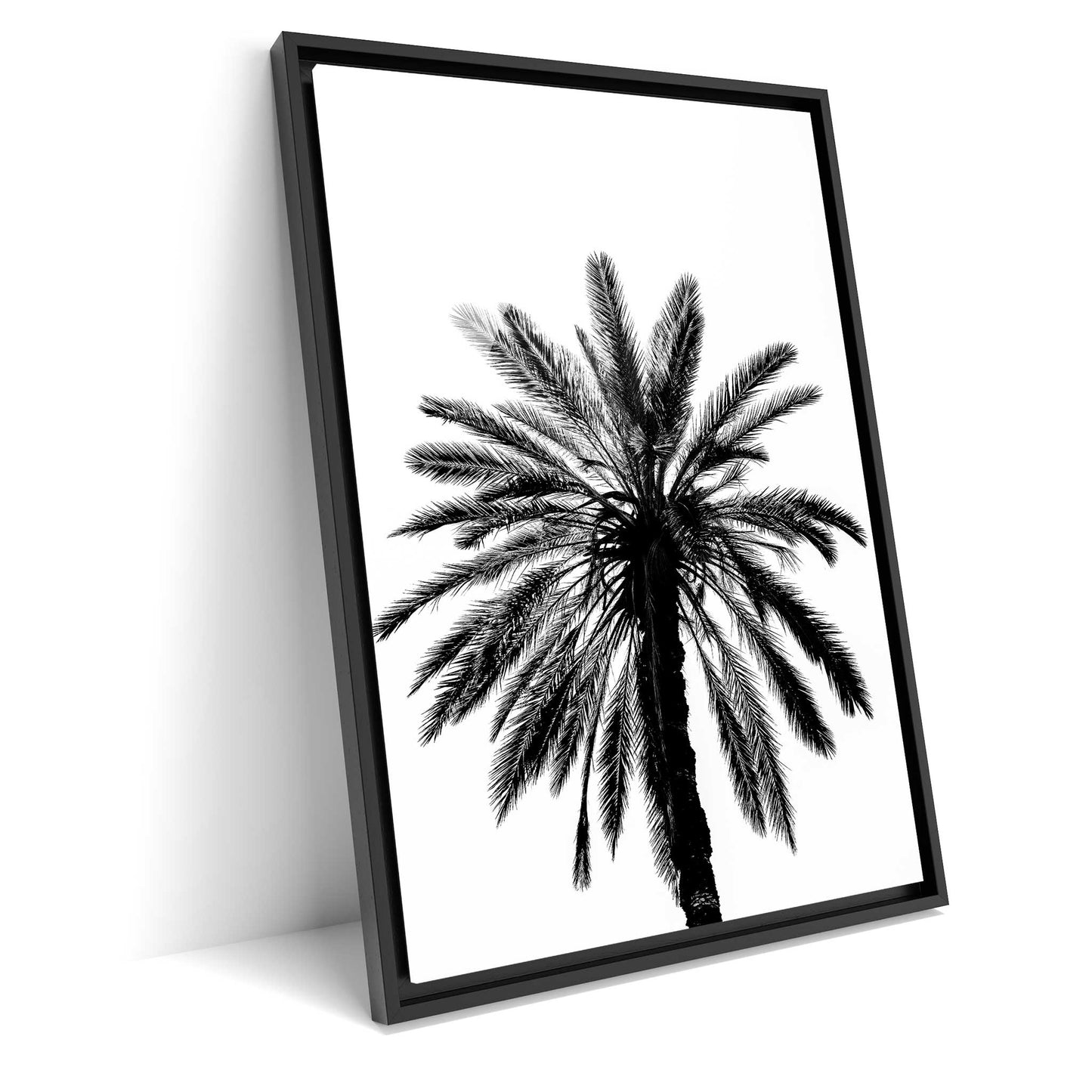 Palm Tree in Italy