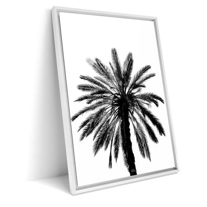 Palm Tree in Italy