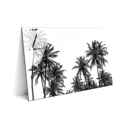 Palm Tree in Africa