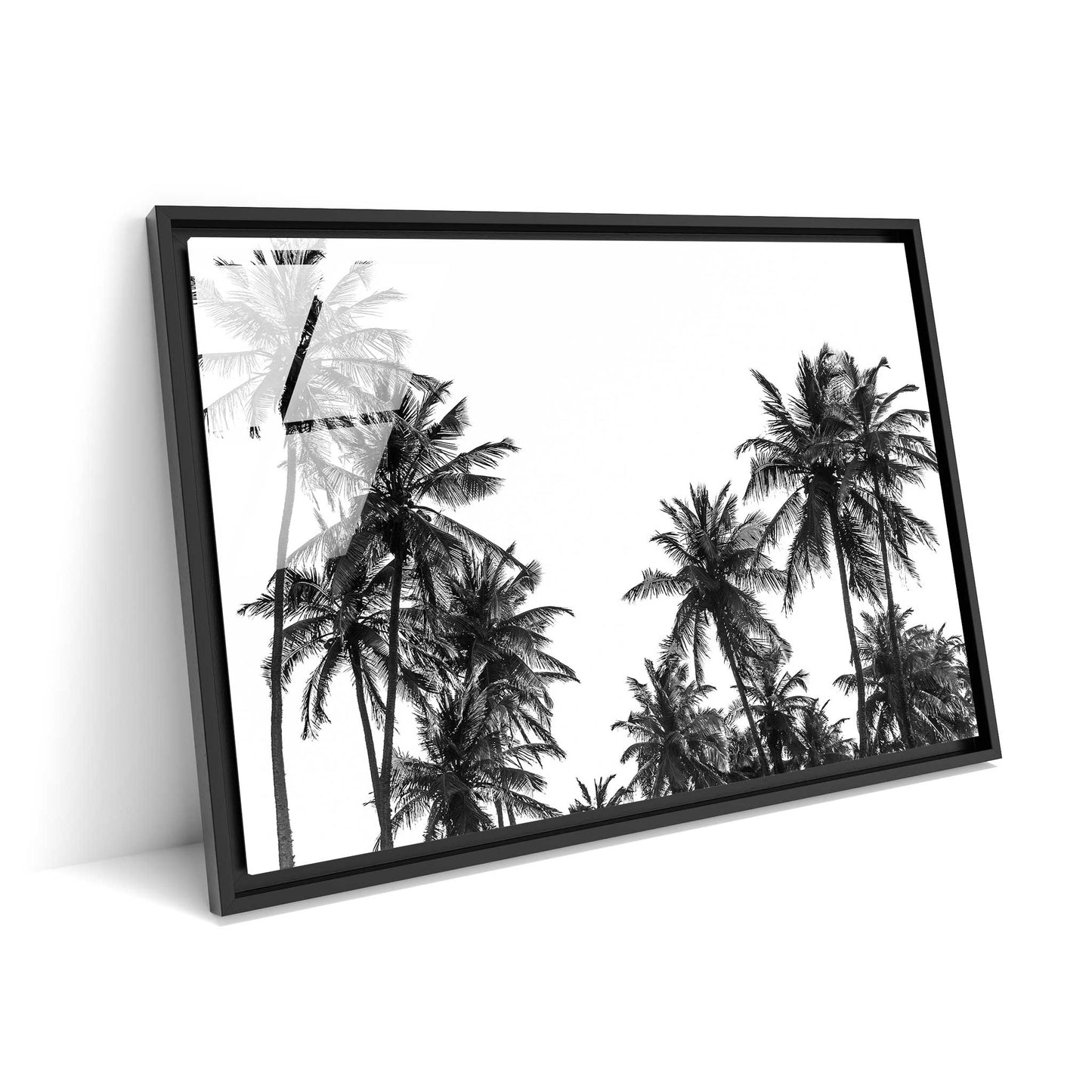 Palm Tree in Africa