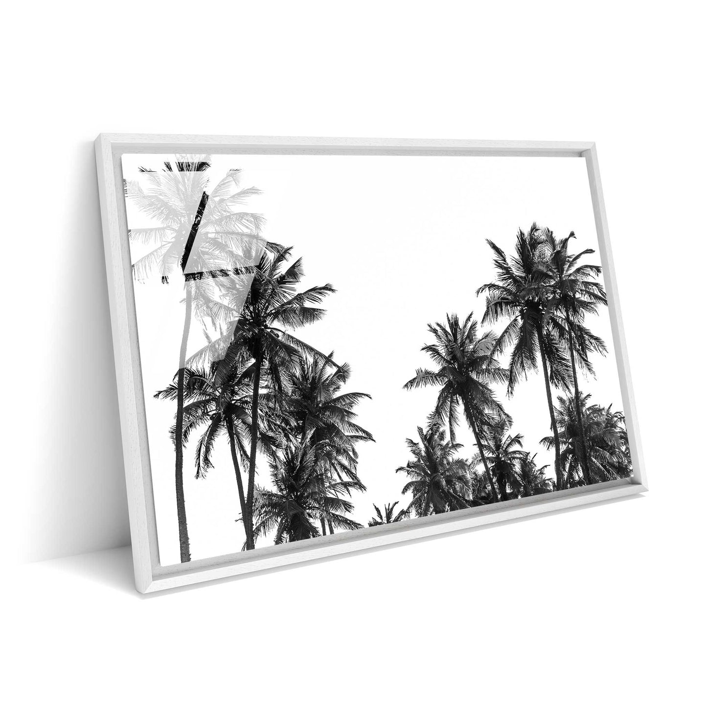 Palm Tree in Africa