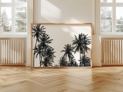Palm Tree in Africa