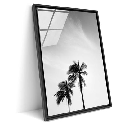 Palm Tree in Jeddah