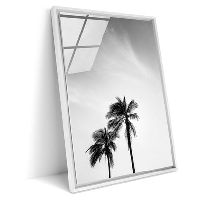 Palm Tree in Jeddah