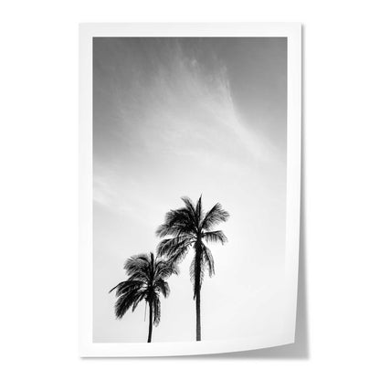 Palm Trees in Jeddah