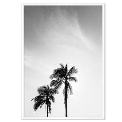 Palm Tree in Jeddah