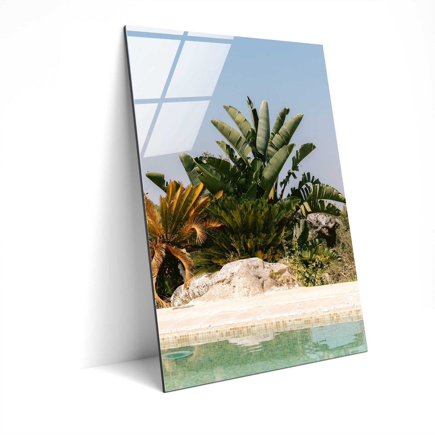 Palms Beyond the Blue