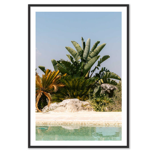 Palms Beyond the Blue