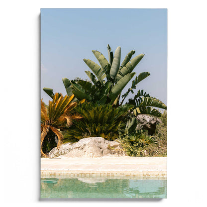 Palms Beyond the Blue