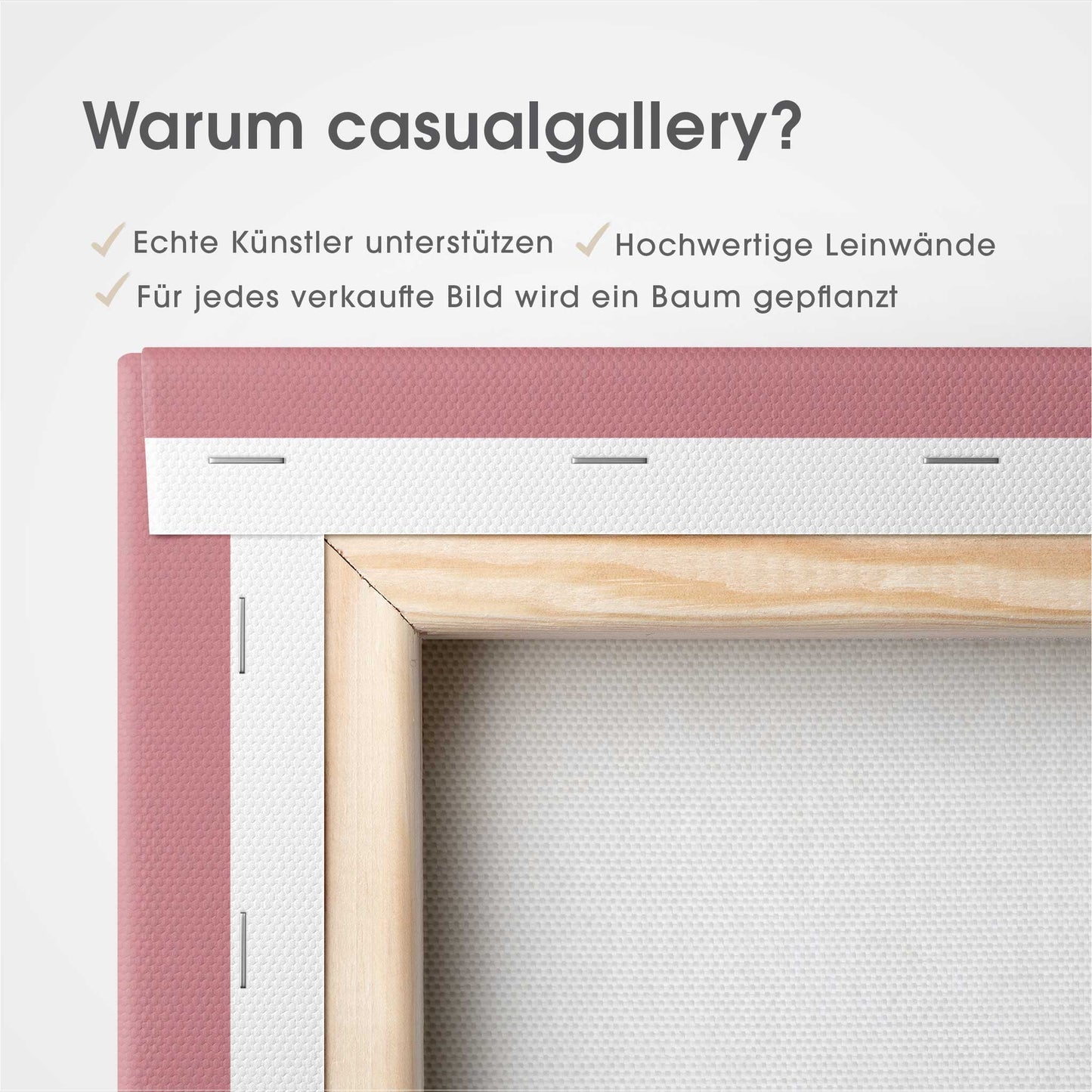Pink Lady Leinwandbild