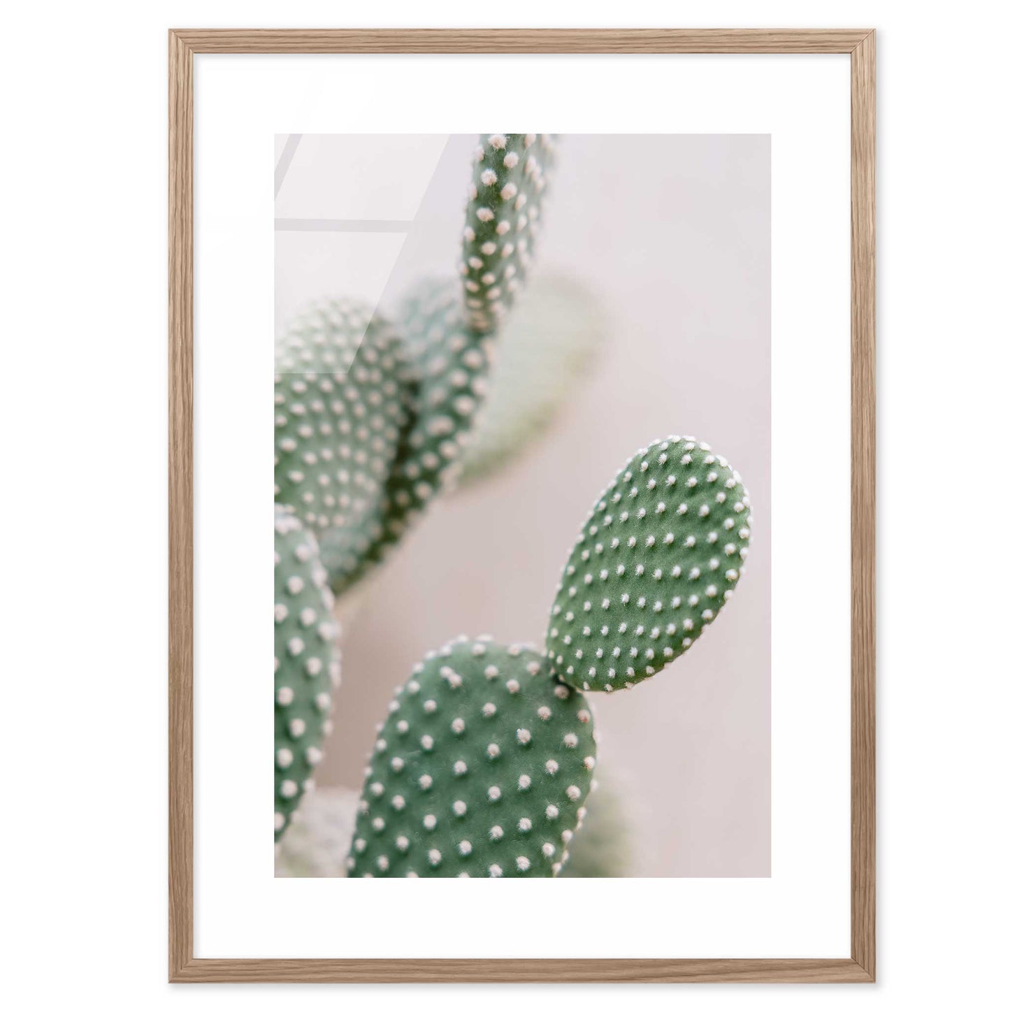 Prickly Elegance