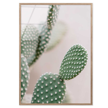 Prickly Elegance