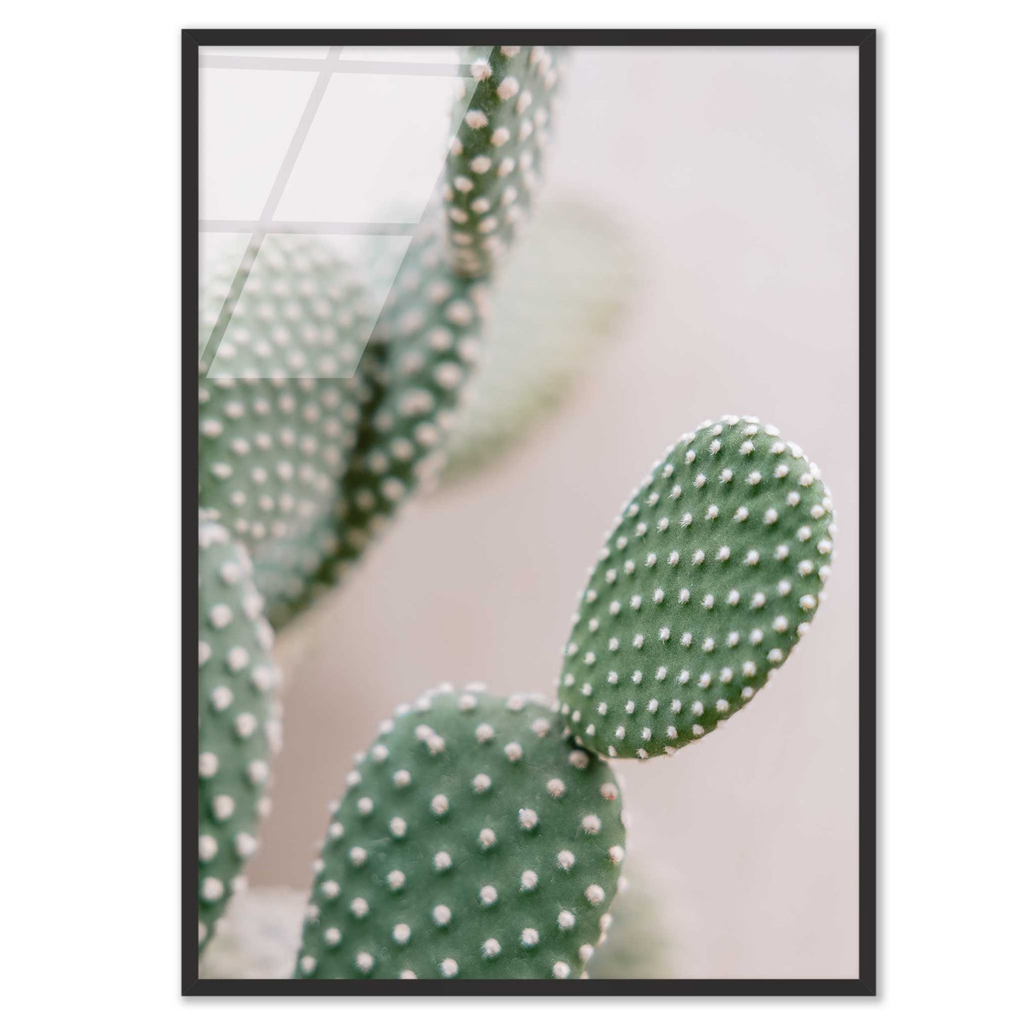 Prickly Elegance