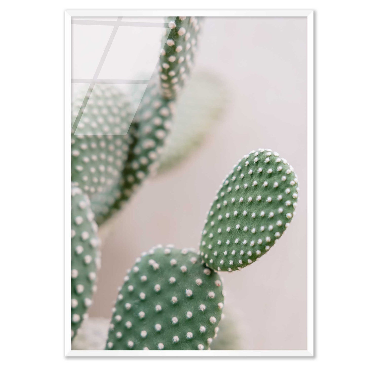 Prickly Elegance