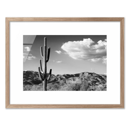 Saguaro Cactus Sunrise