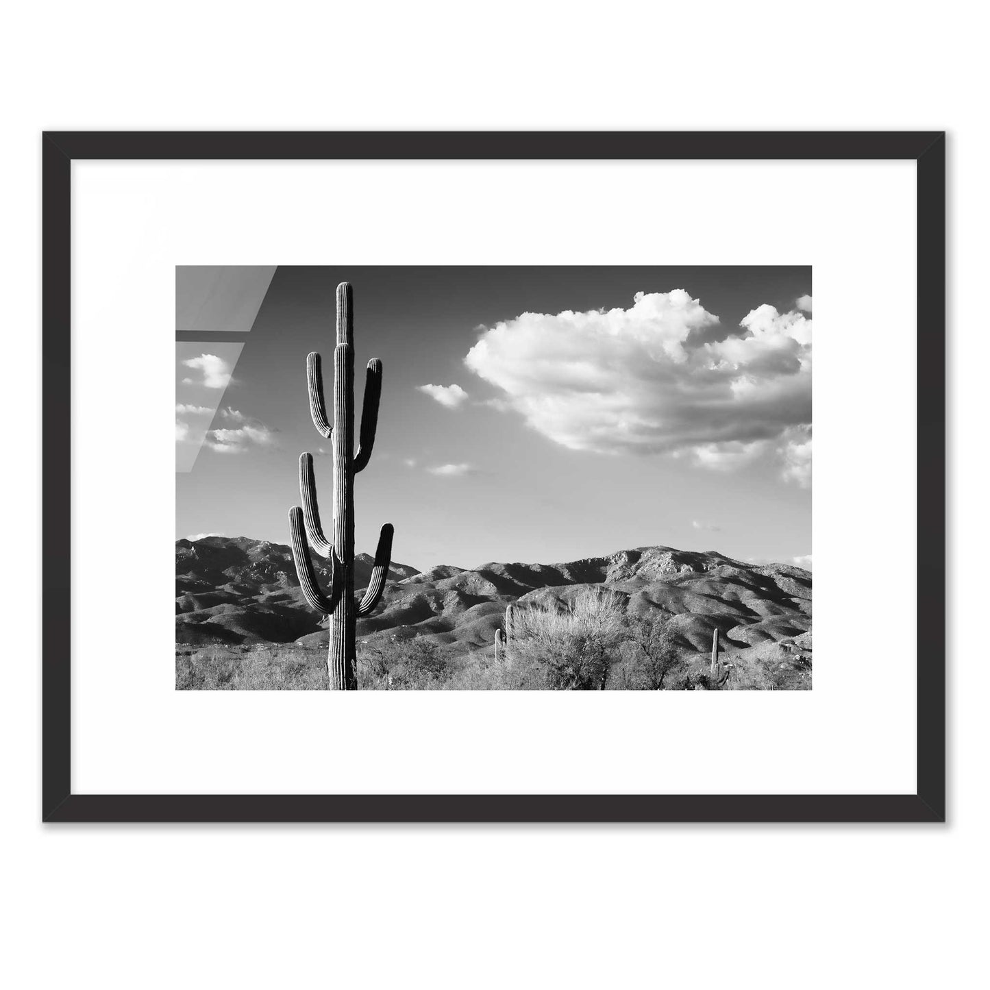 Saguaro Cactus Sunrise