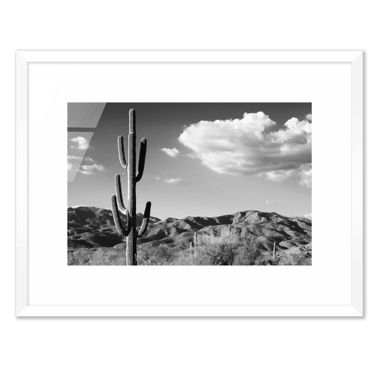 Saguaro Cactus Sunrise