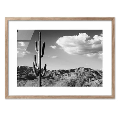 Saguaro Cactus Sunrise