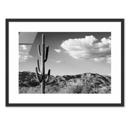 Saguaro Cactus Sunrise