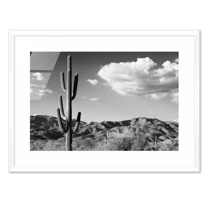 Saguaro Cactus Sunrise