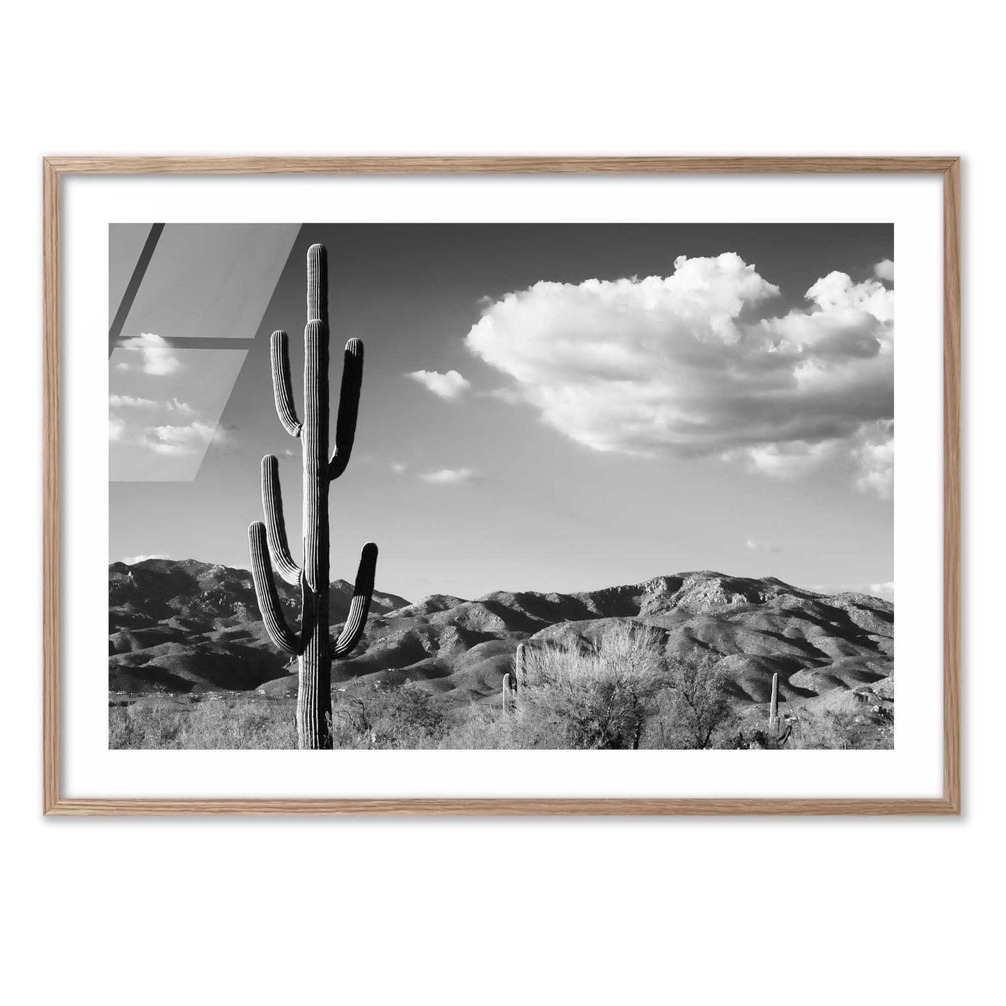 Saguaro Cactus Sunrise