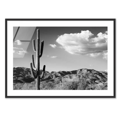 Saguaro Cactus Sunrise