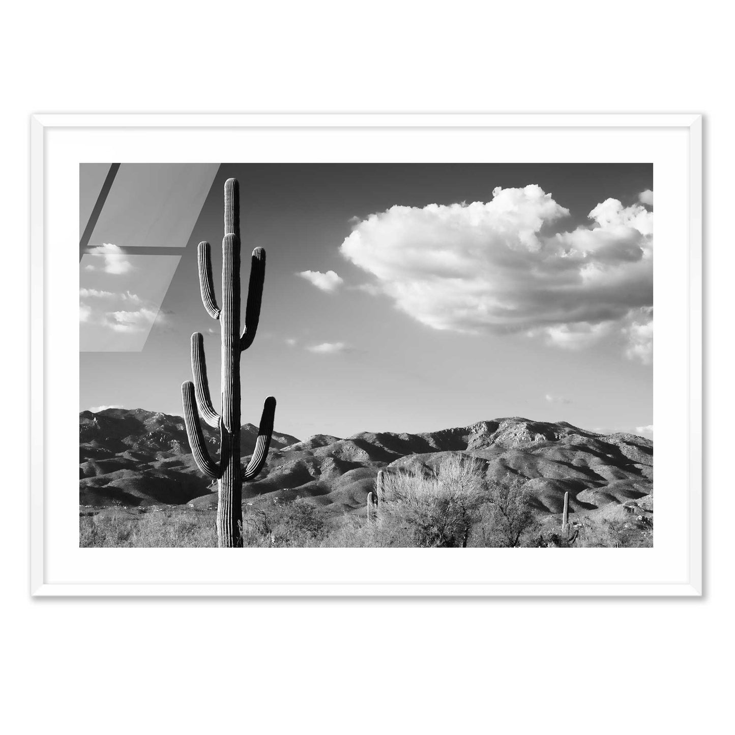 Saguaro Cactus Sunrise