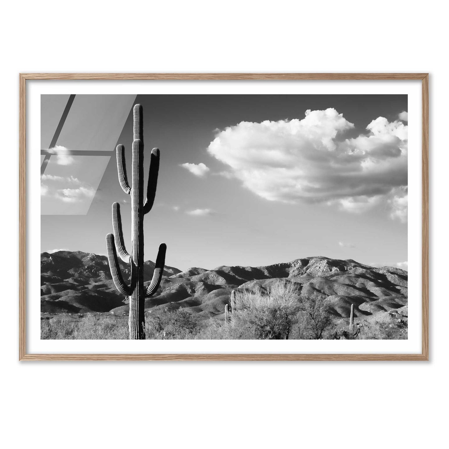 Saguaro Cactus Sunrise