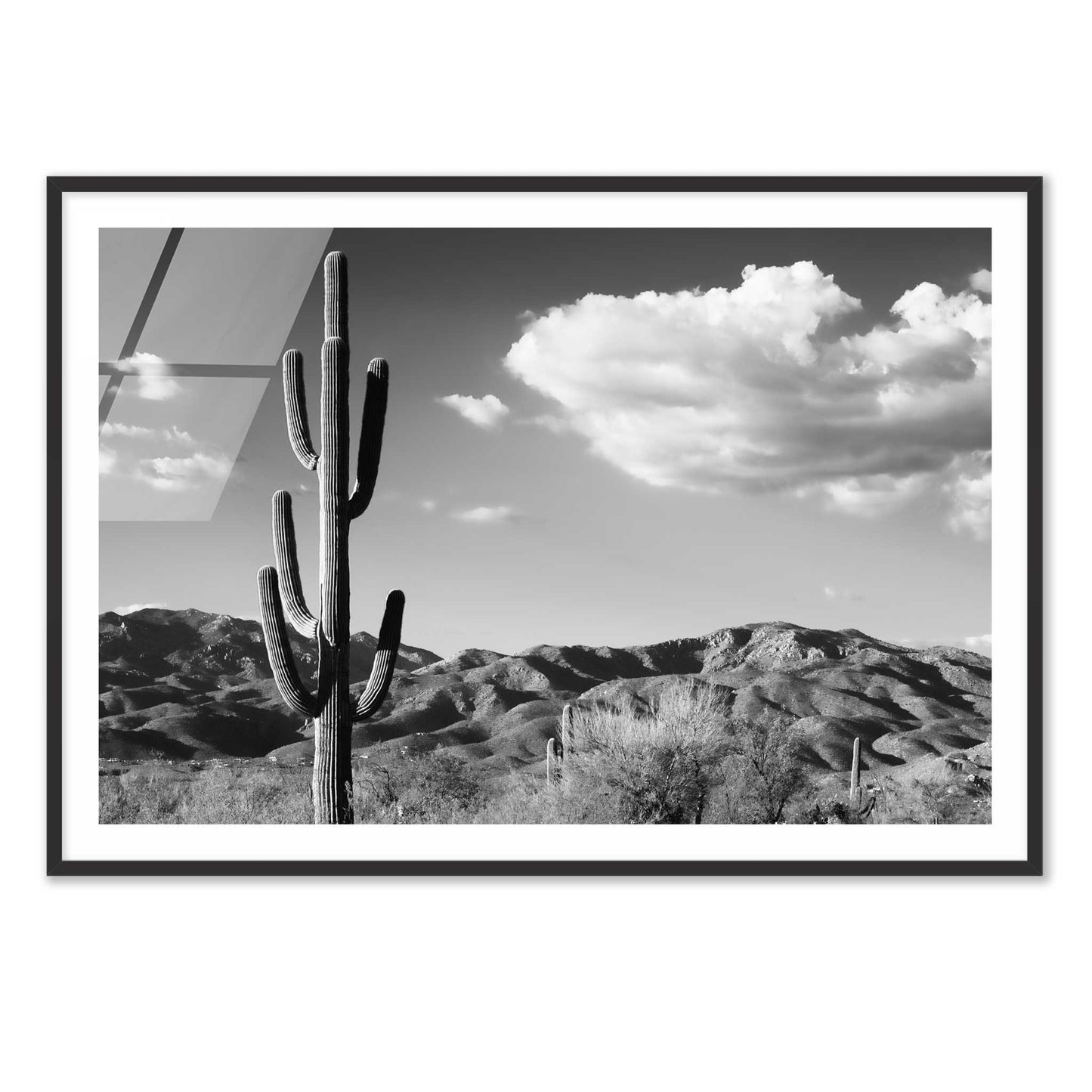 Saguaro Cactus Sunrise