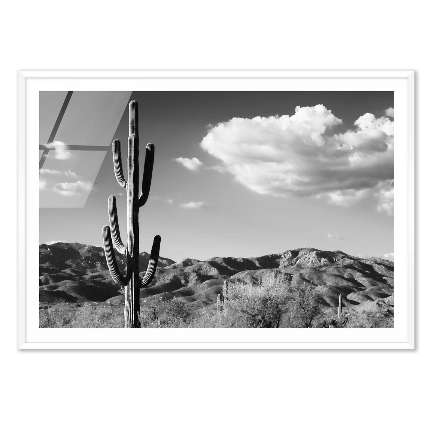 Saguaro Cactus Sunrise