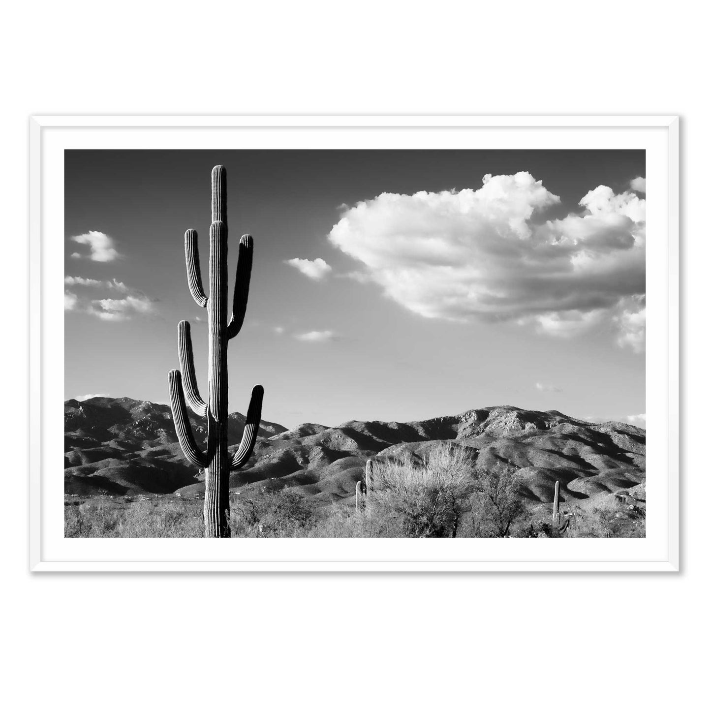 Saguaro Cactus Sunrise