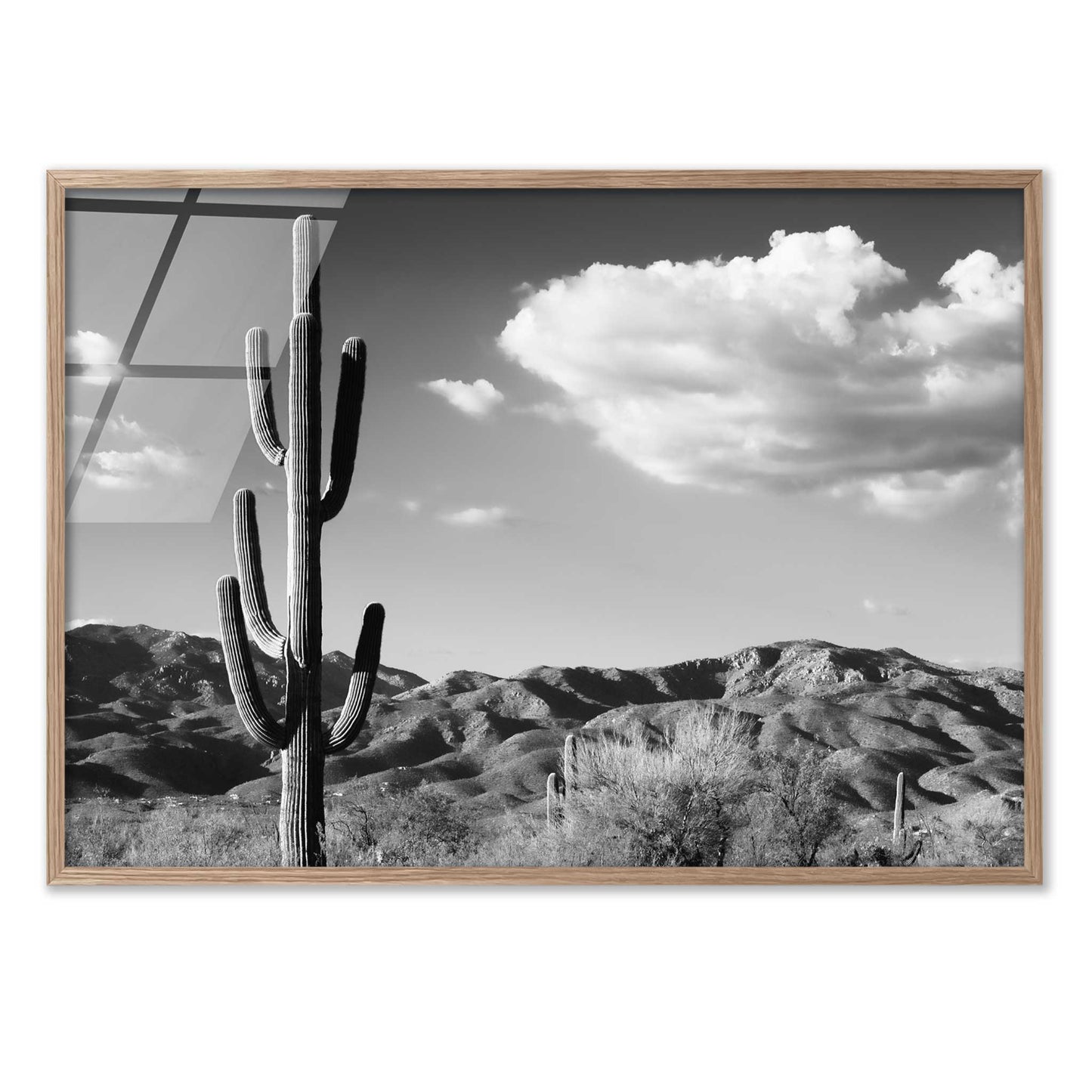 Saguaro Cactus Sunrise