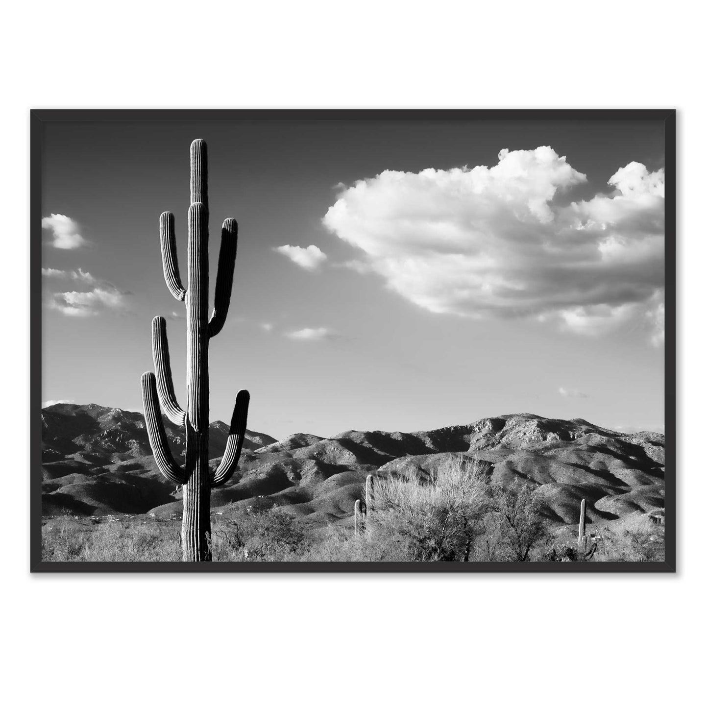 Saguaro Cactus Sunrise