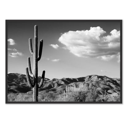 Saguaro Cactus Sunrise