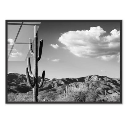 Saguaro Cactus Sunrise