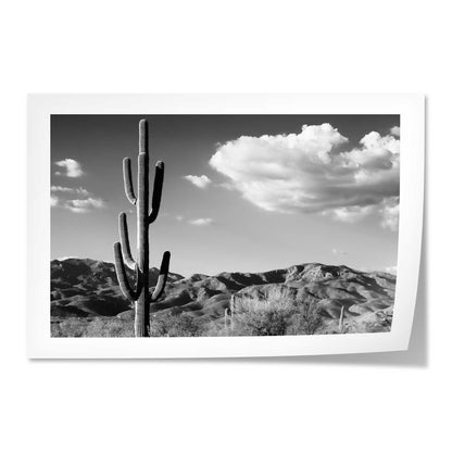 Saguaro Cactus Sunrise