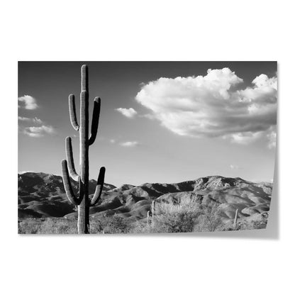 Saguaro Cactus Sunrise