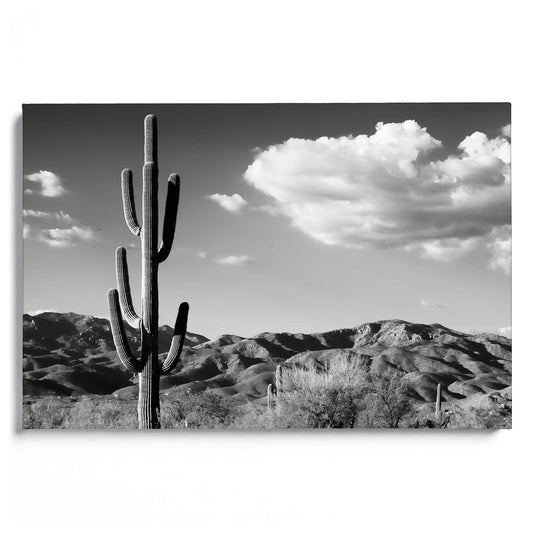 Saguaro Cactus Sunrise