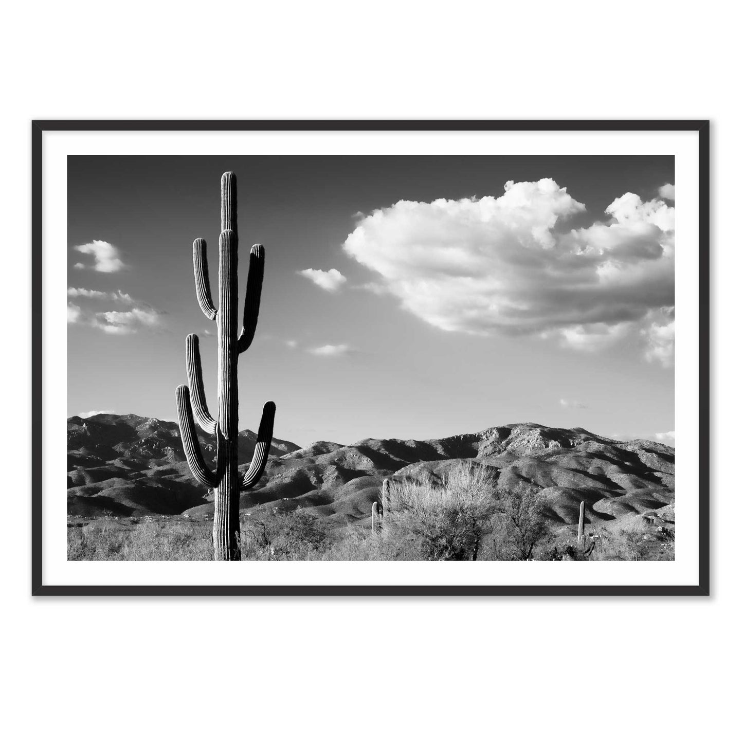 Saguaro Cactus Sunrise