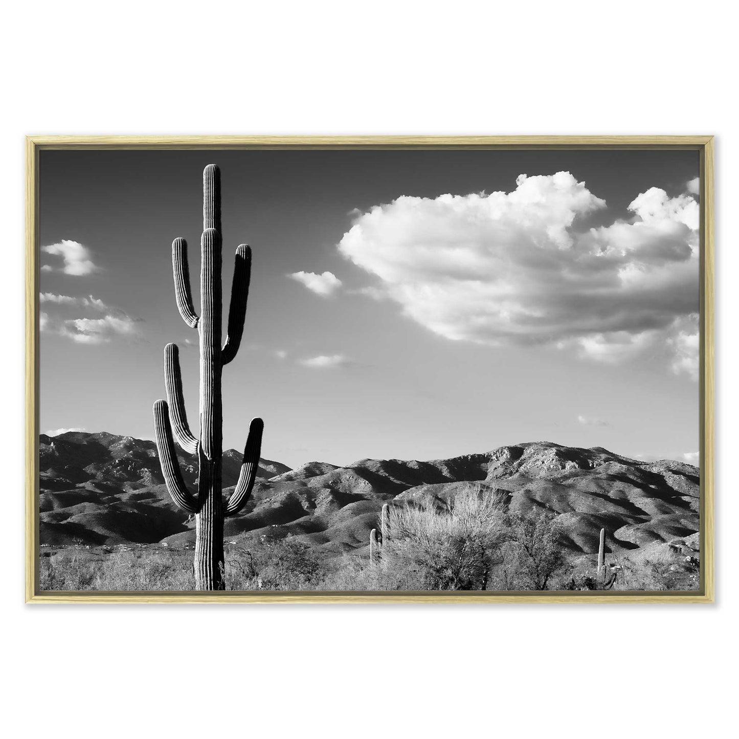Saguaro Cactus Sunrise