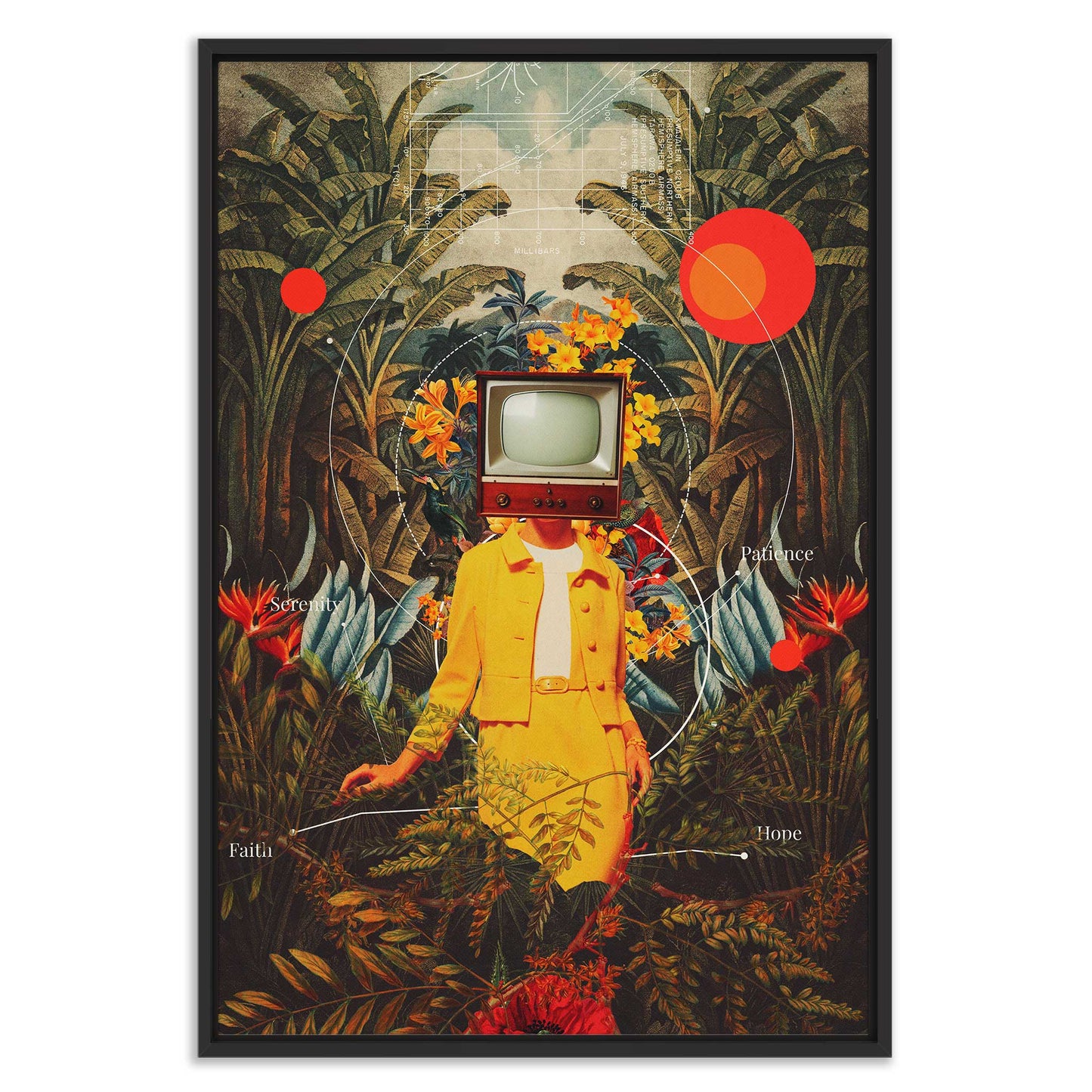 She Came from the Wilderness