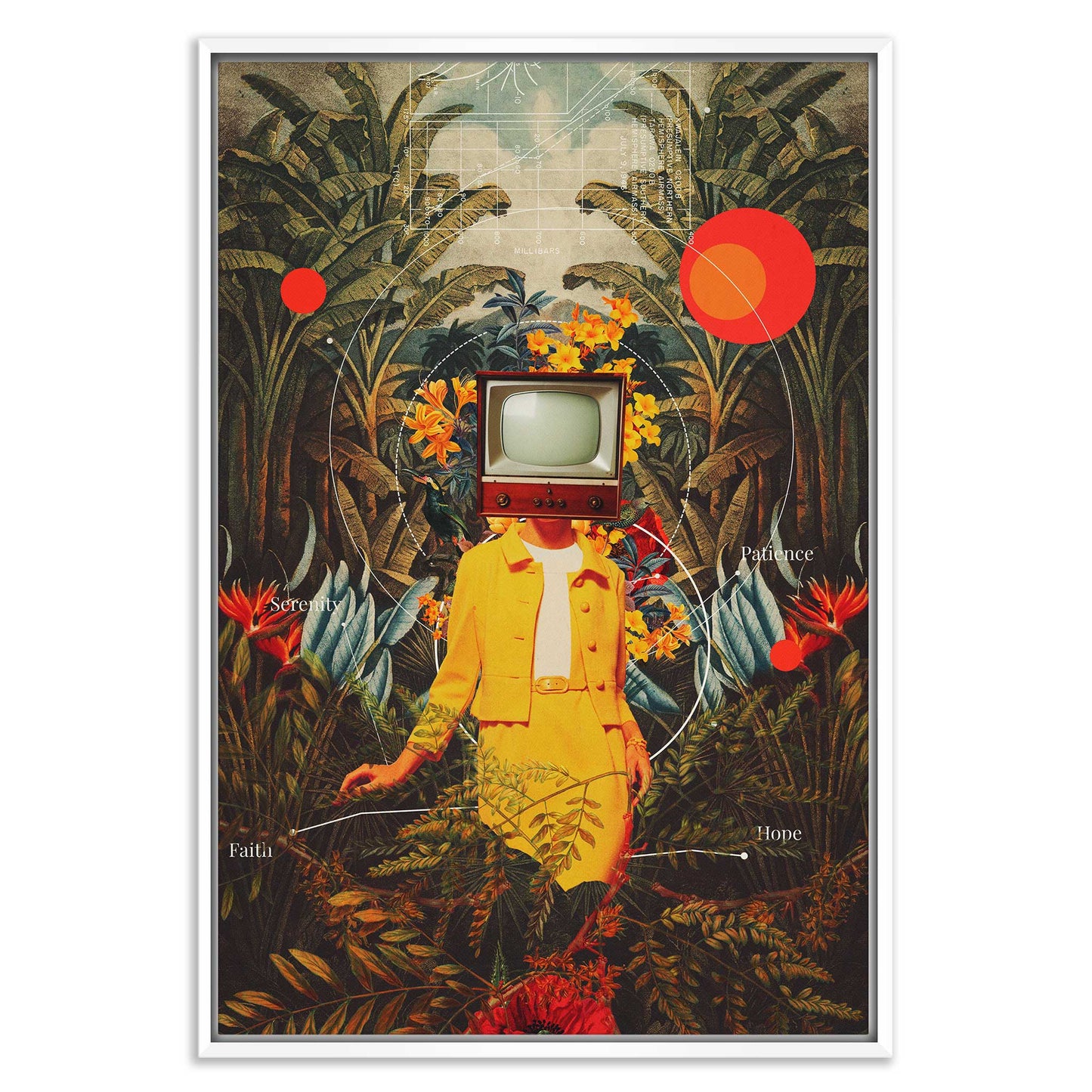 She Came from the Wilderness