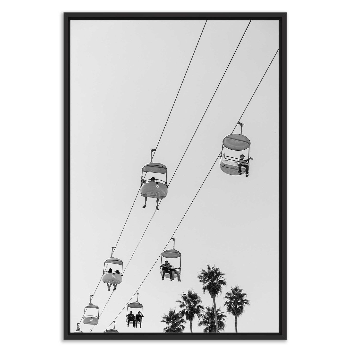 Shoreline Perspectives