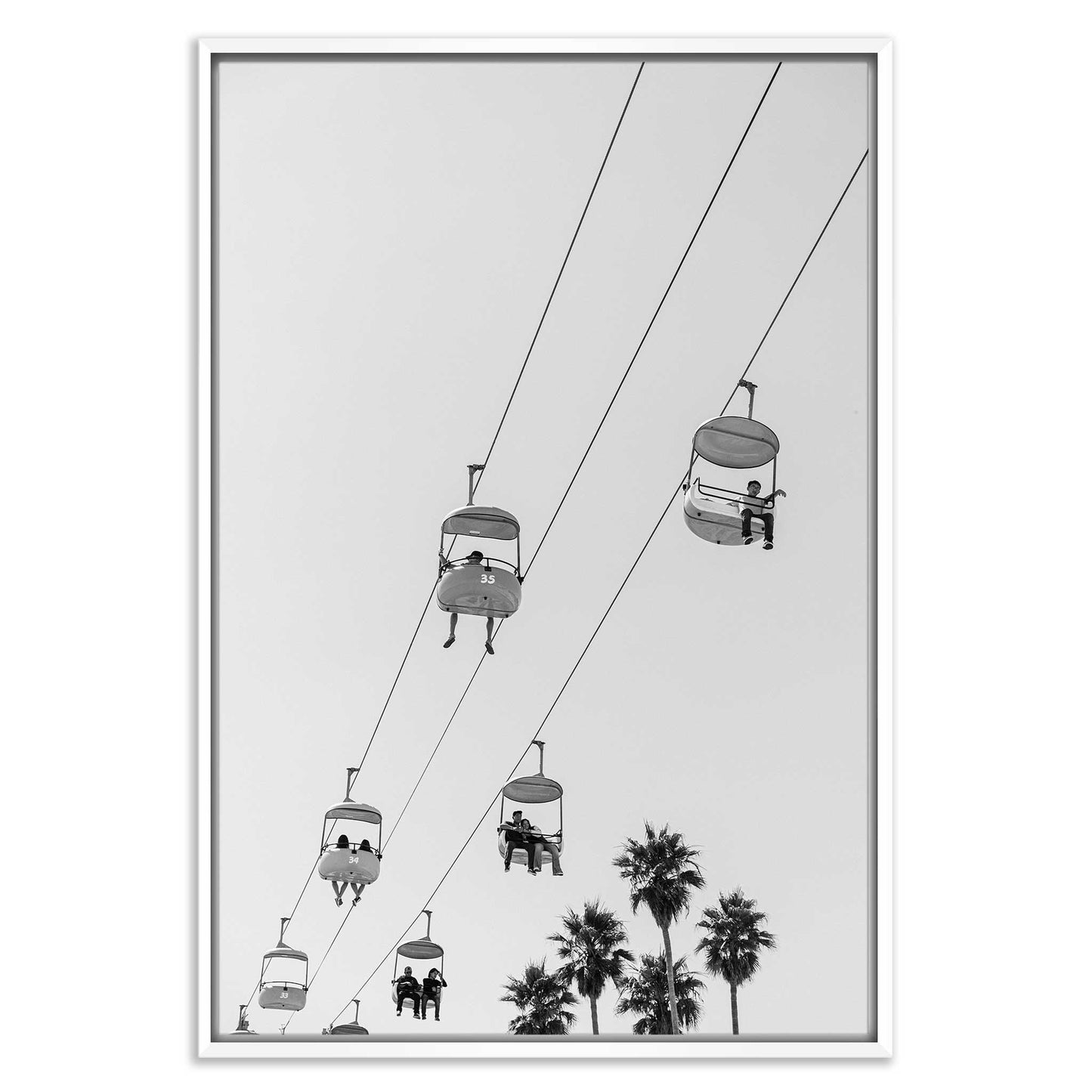 Shoreline Perspectives