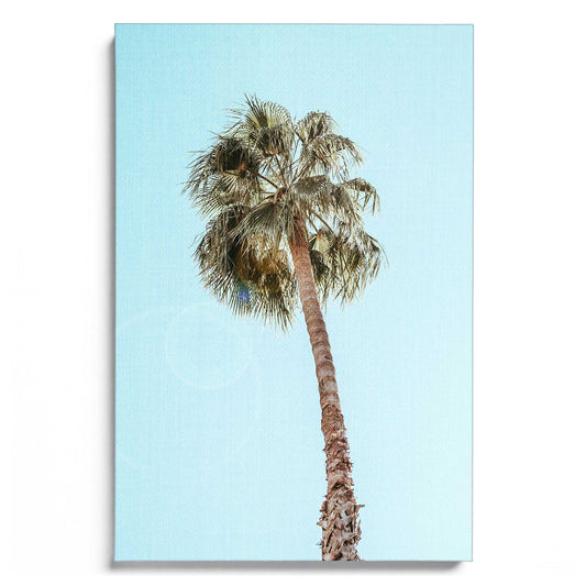 Single Palm