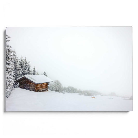 Snow Landscape